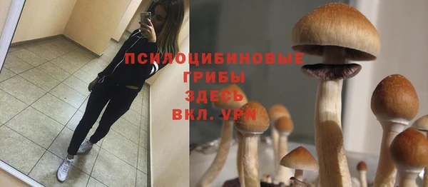 бошки Баксан