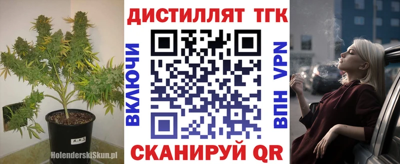 Купить закладки  Олёкминск  Дистиллят ТГК Wax 