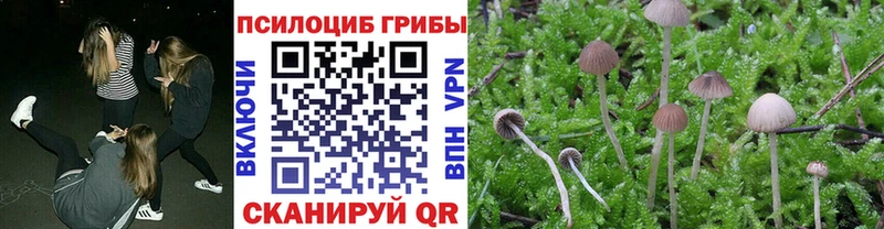 Купить Олёкминск Галлюциногенные грибы Psilocybe